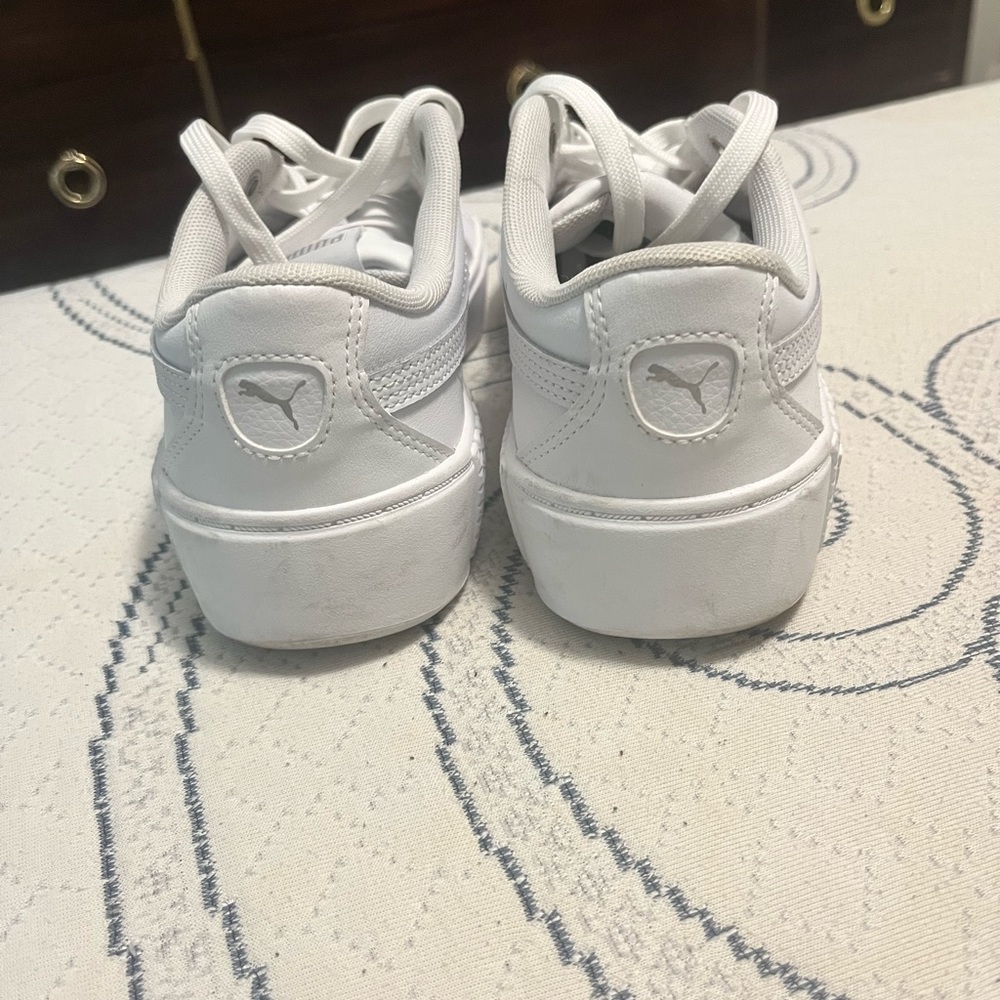 Pumas - Picture 3 of 4